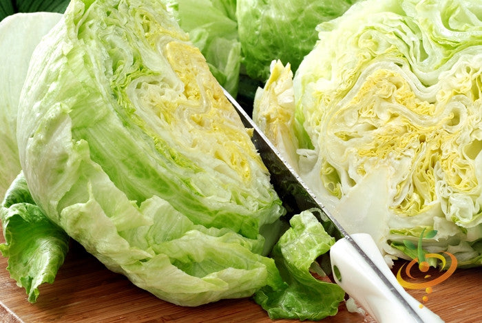 Lettuce - Iceberg.