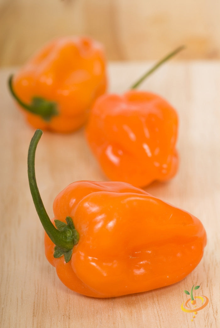 Pepper - Habanero Orange.