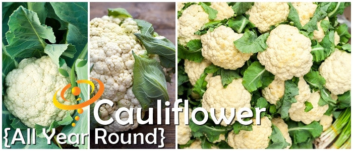Cauliflower - All Year Round.