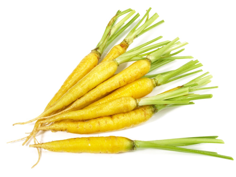 Carrot - Solar Yellow, 7" Long - SeedsNow.com