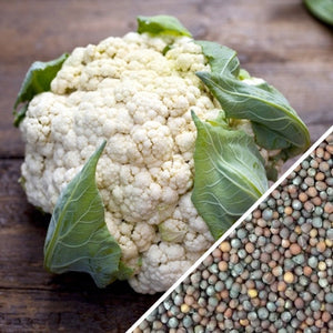 Cauliflower - All Year Round.