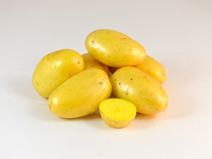 Early-season Noelle Fingerling potato seed from SeedsNow-Potatoes, showing the small, elongated, and smooth potato with light skin.