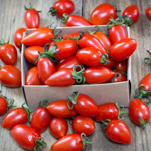 Tomato - San Marzano (Indeterminate) - SeedsNow.com