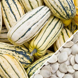 Squash (Winter) - Delicata.