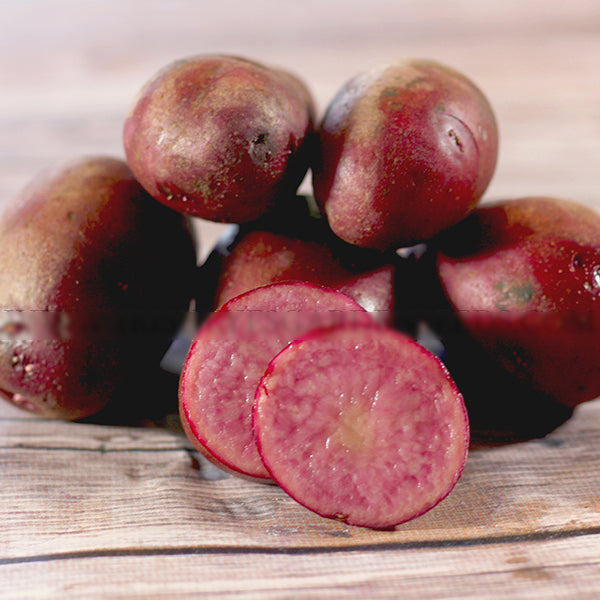 Potato (Late-Season) Fingerling - Terra Rosa - SeedsNow.com