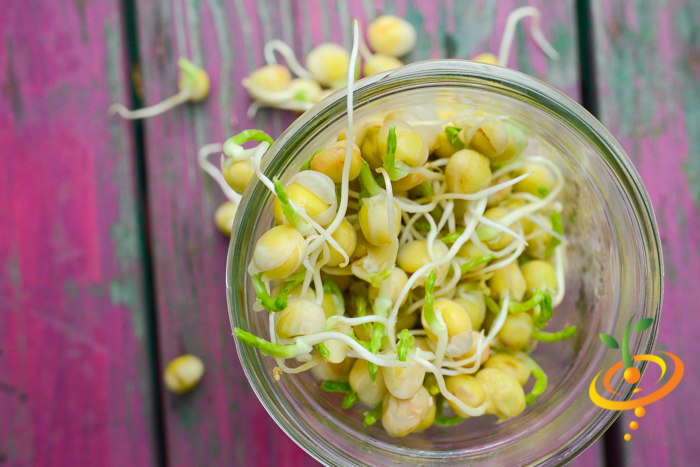 Sprouts/Microgreens - Green Pea.