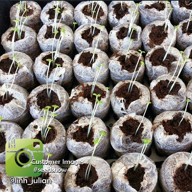 Seed Starting Soil Pellets