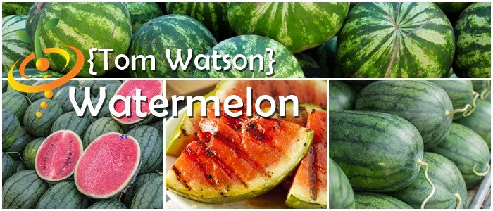 Watermelon - Tom Watson.