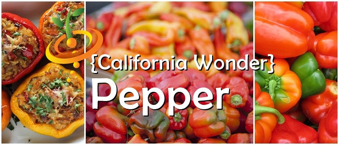 Pepper - California Wonder.
