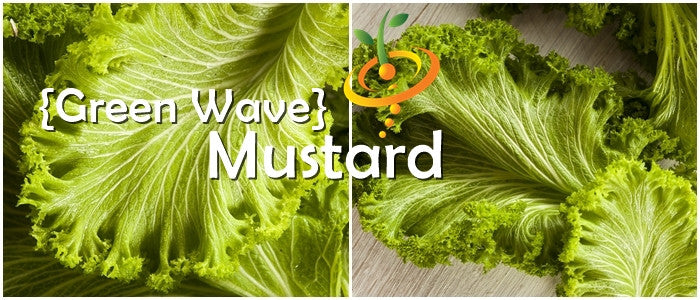 Mustard - Green Wave.