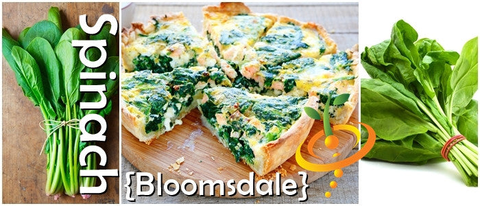 Spinach - Bloomsdale.