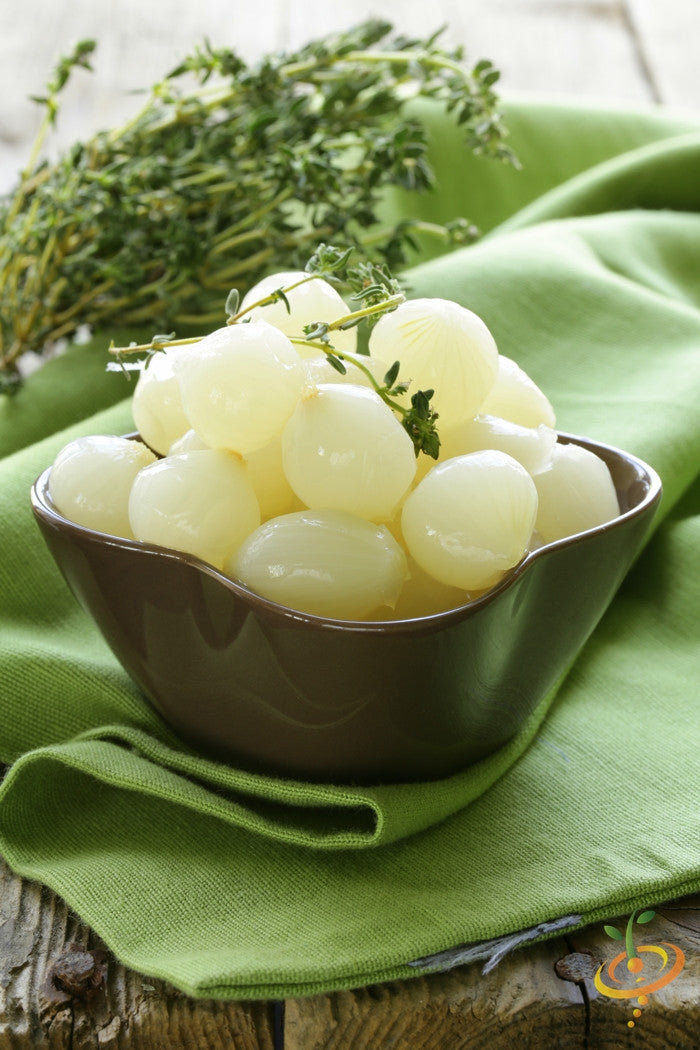 Onion - Barletta, Pearly White - SeedsNow.com