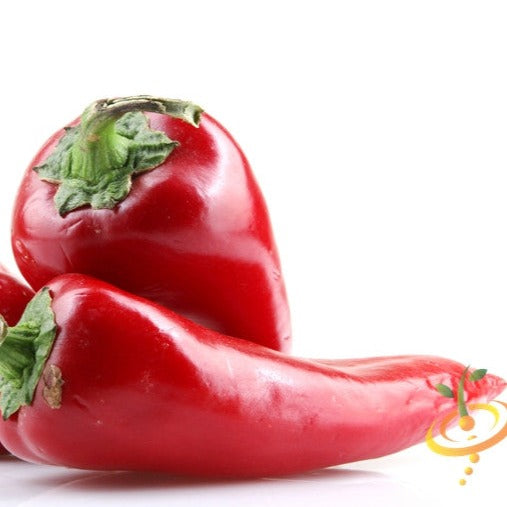 Pepper (Hot) - Thai 🔥🔥🔥 - SeedsNow.com